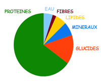 Diagramme de la composition de la spiruline